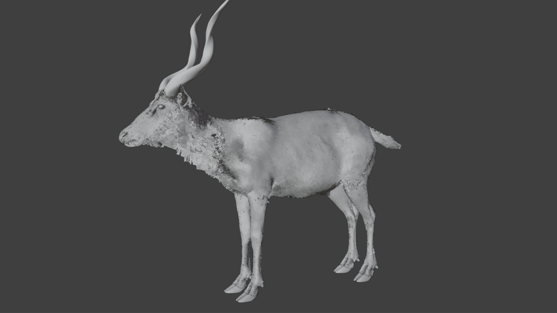 Sitatunga Antelope Realistic 3D model_14