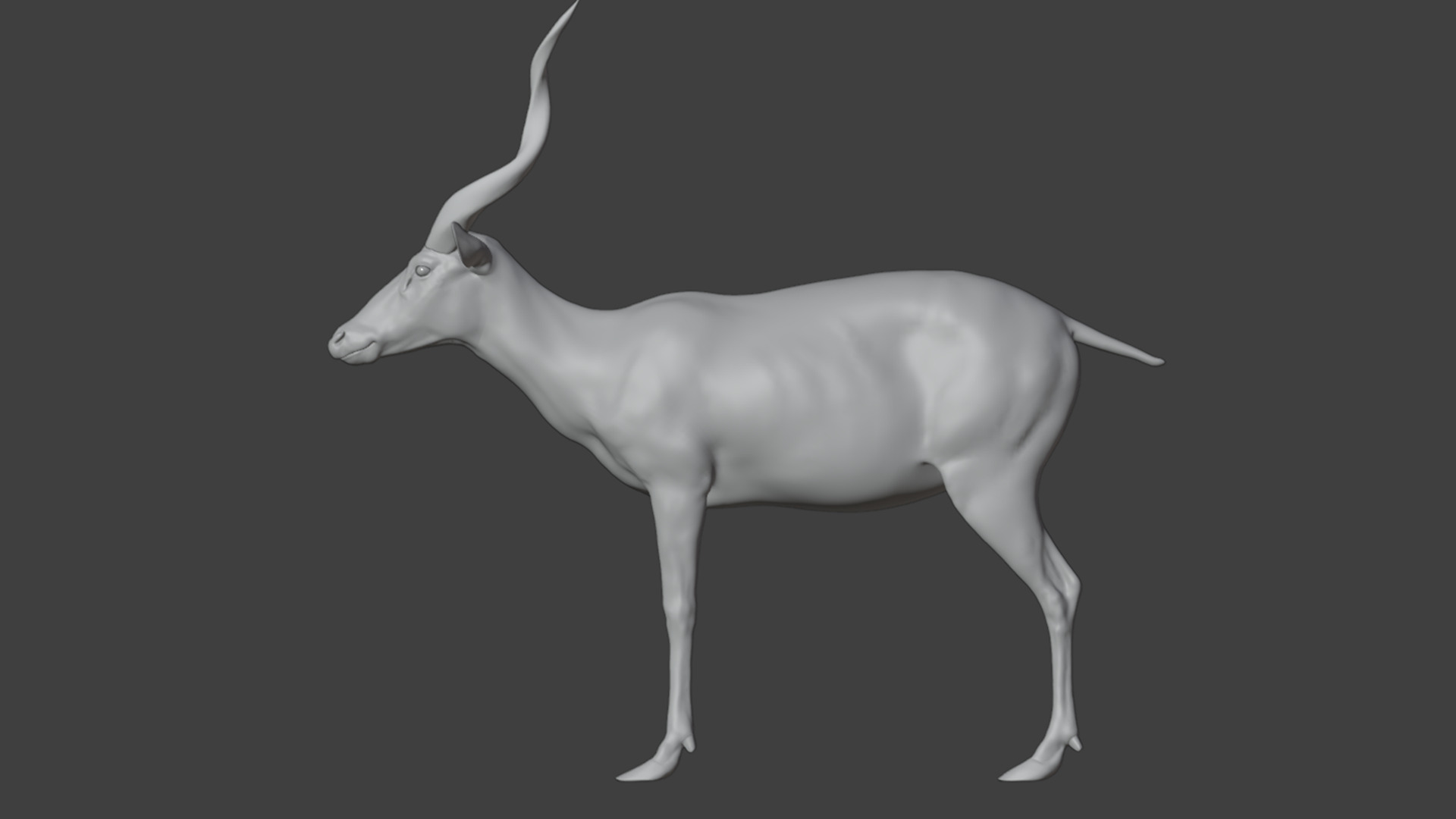 Sitatunga Antelope Realistic 3D model_16