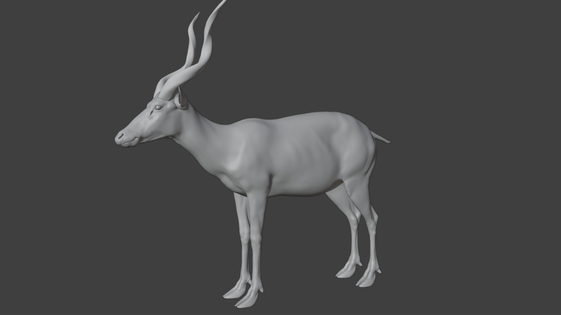 Sitatunga Antelope Realistic 3D model_15