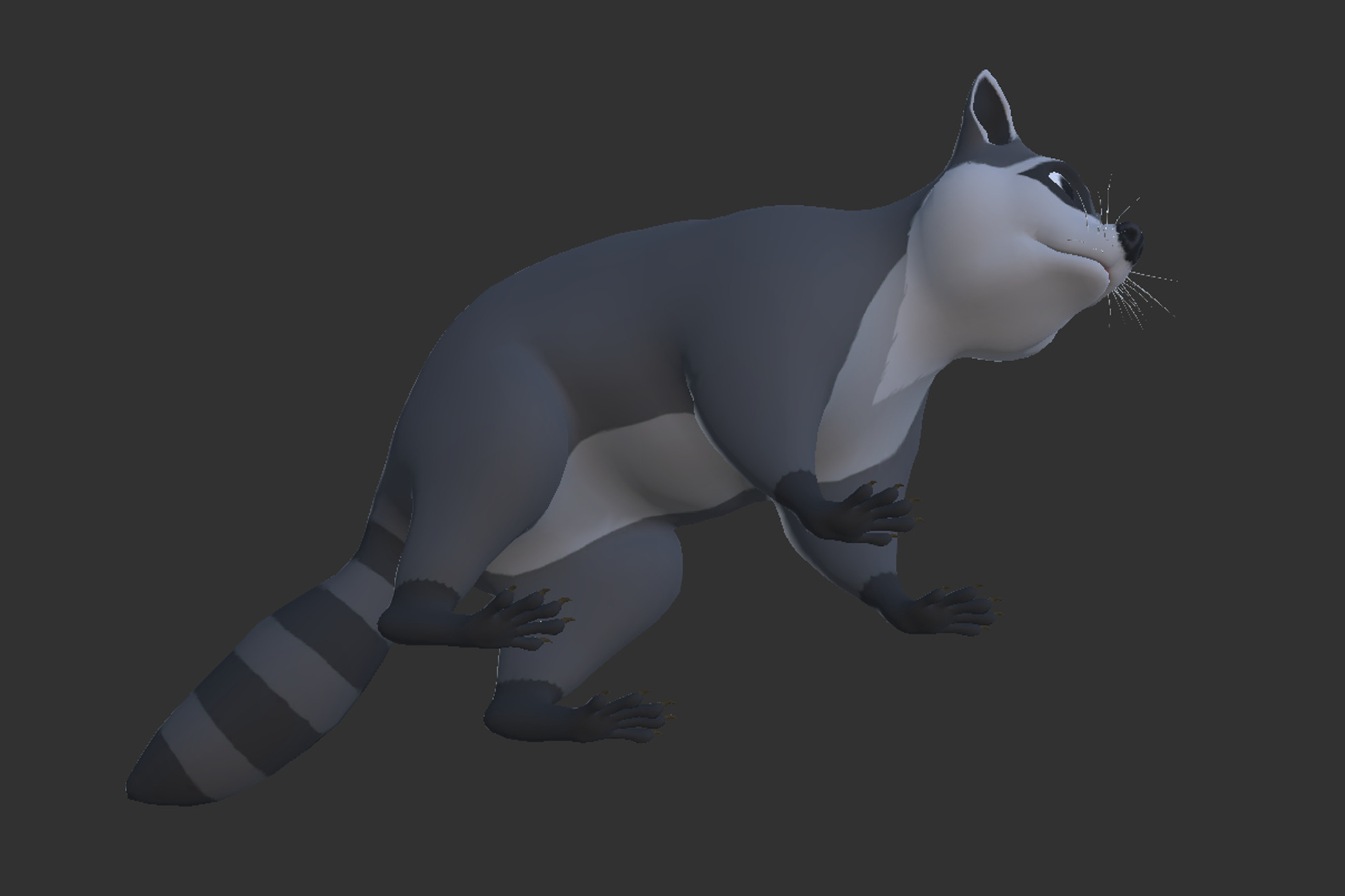 Cartoon Raccoon Low-poly 3D model_5