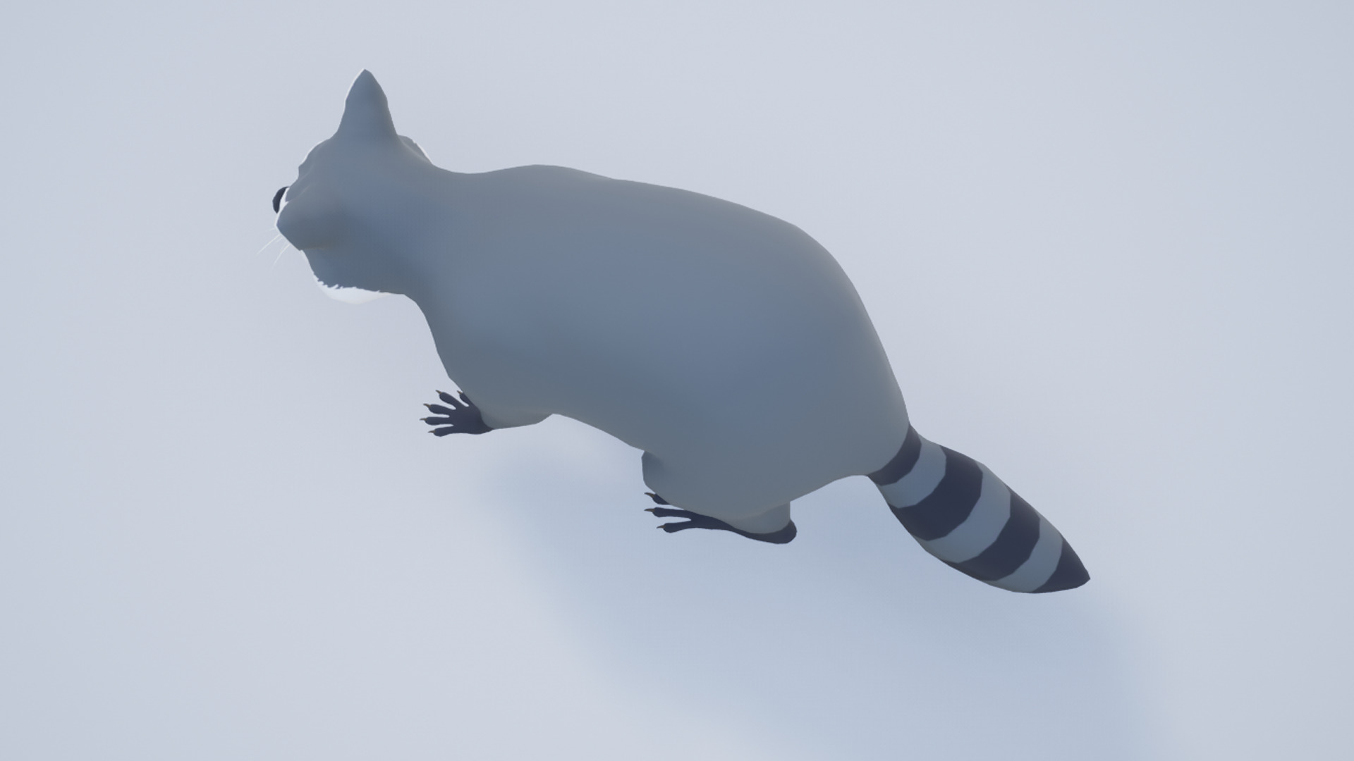 Cartoon Raccoon Low-poly 3D model_10