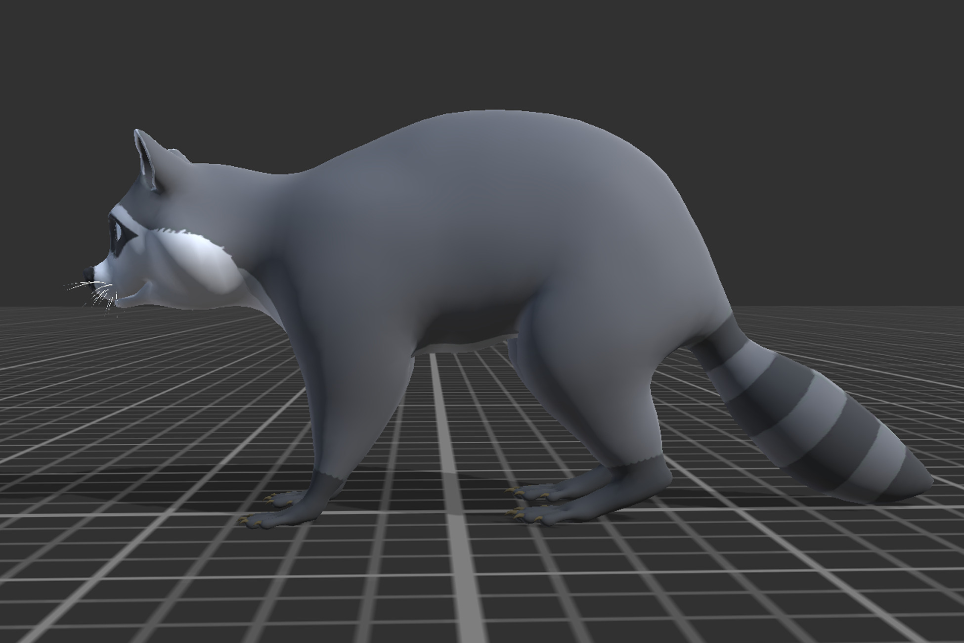 Cartoon Raccoon Low-poly 3D model_2