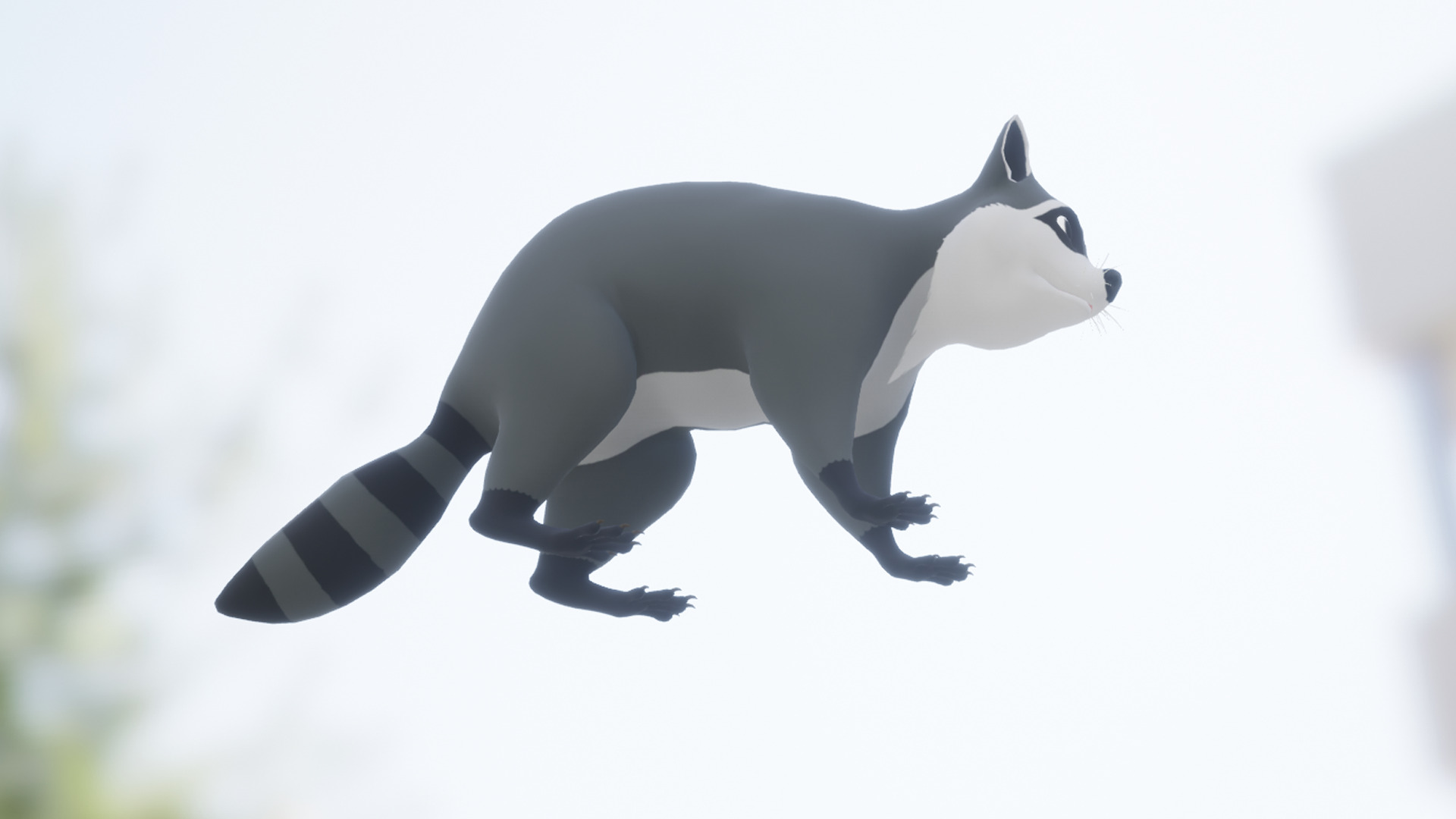 Cartoon Raccoon Low-poly 3D model_11