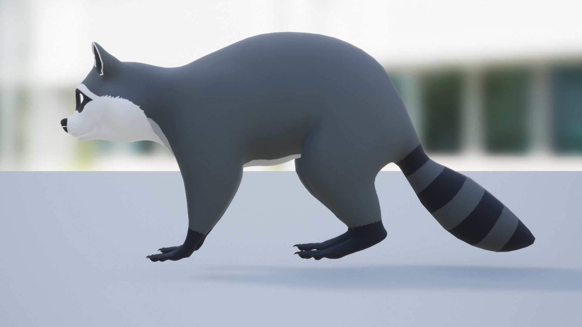 Cartoon Raccoon Low-poly 3D model_8