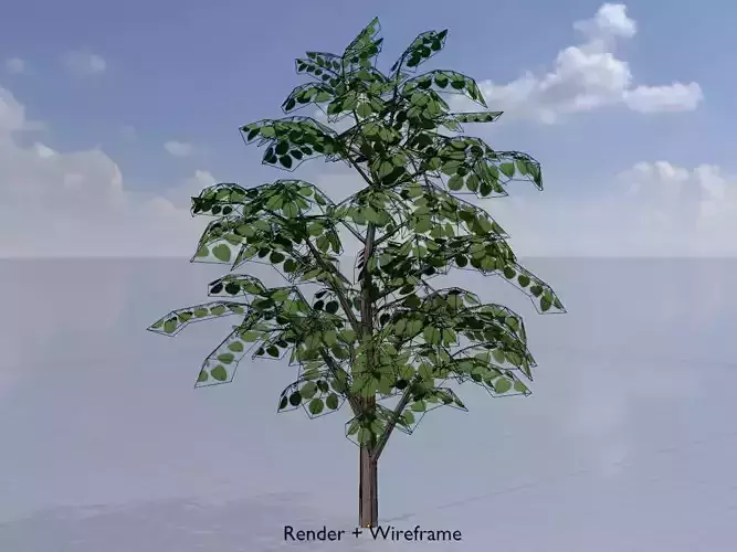 Empress tree summer LOD2 12000mm Low-poly 3D model