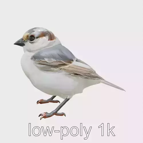 Snow Sparrow Arctic Camouflage Bird Model Low-poly 3D model