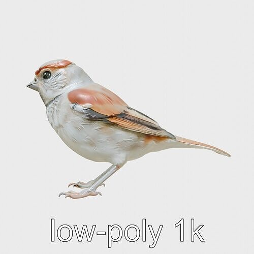 Eurasian Tree Sparrow 3D Model with Reddish-Brown Cap Low-poly 3D model
