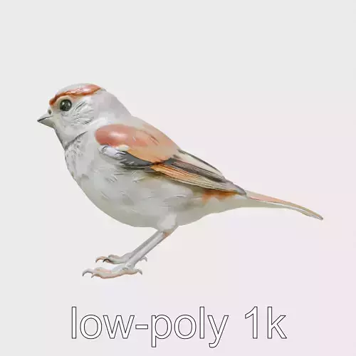 Eurasian Tree Sparrow 3D Model with Reddish-Brown Cap Low-poly 3D model