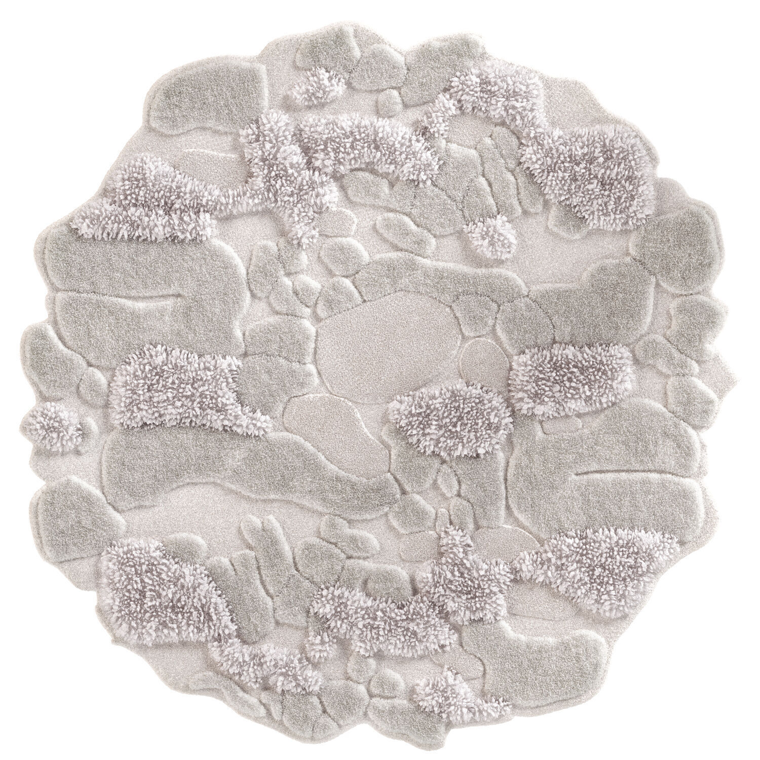 First snow carpet 3D model_1