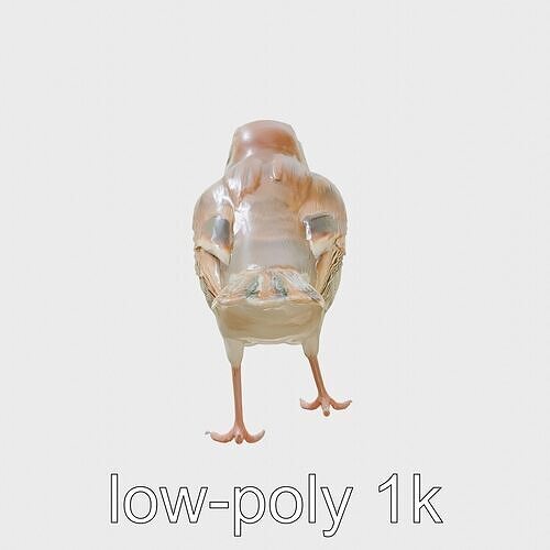 Italian Sparrow Hybrid 3D Model with Realistic Features Low-poly 3D model