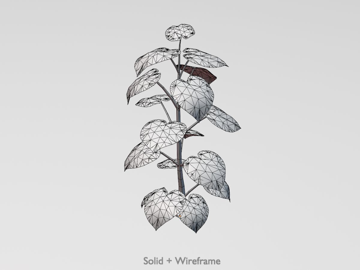 Empress tree summer LOD3 2000mm Low-poly 3D model_12