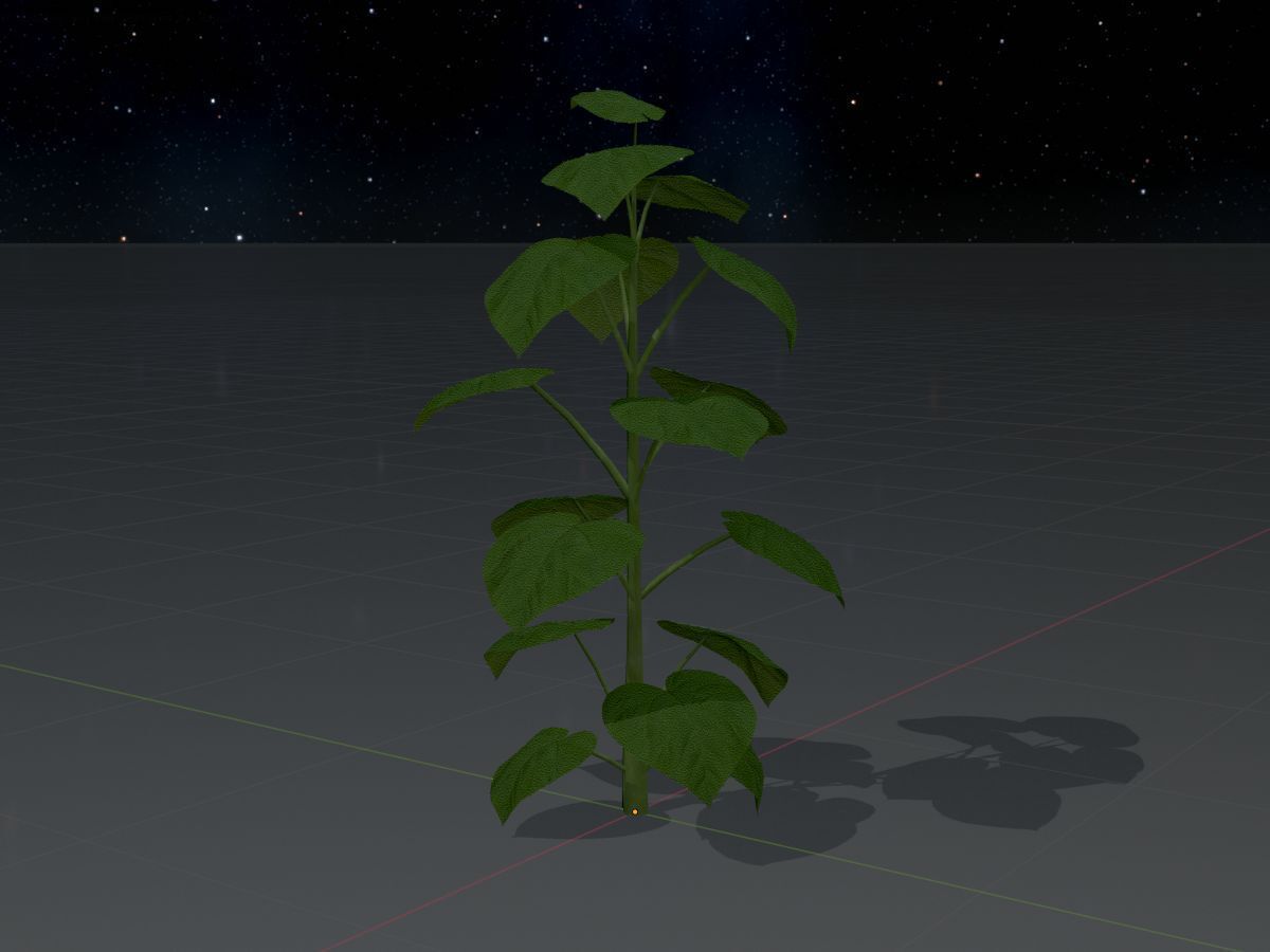 Empress tree summer LOD3 2000mm Low-poly 3D model_4