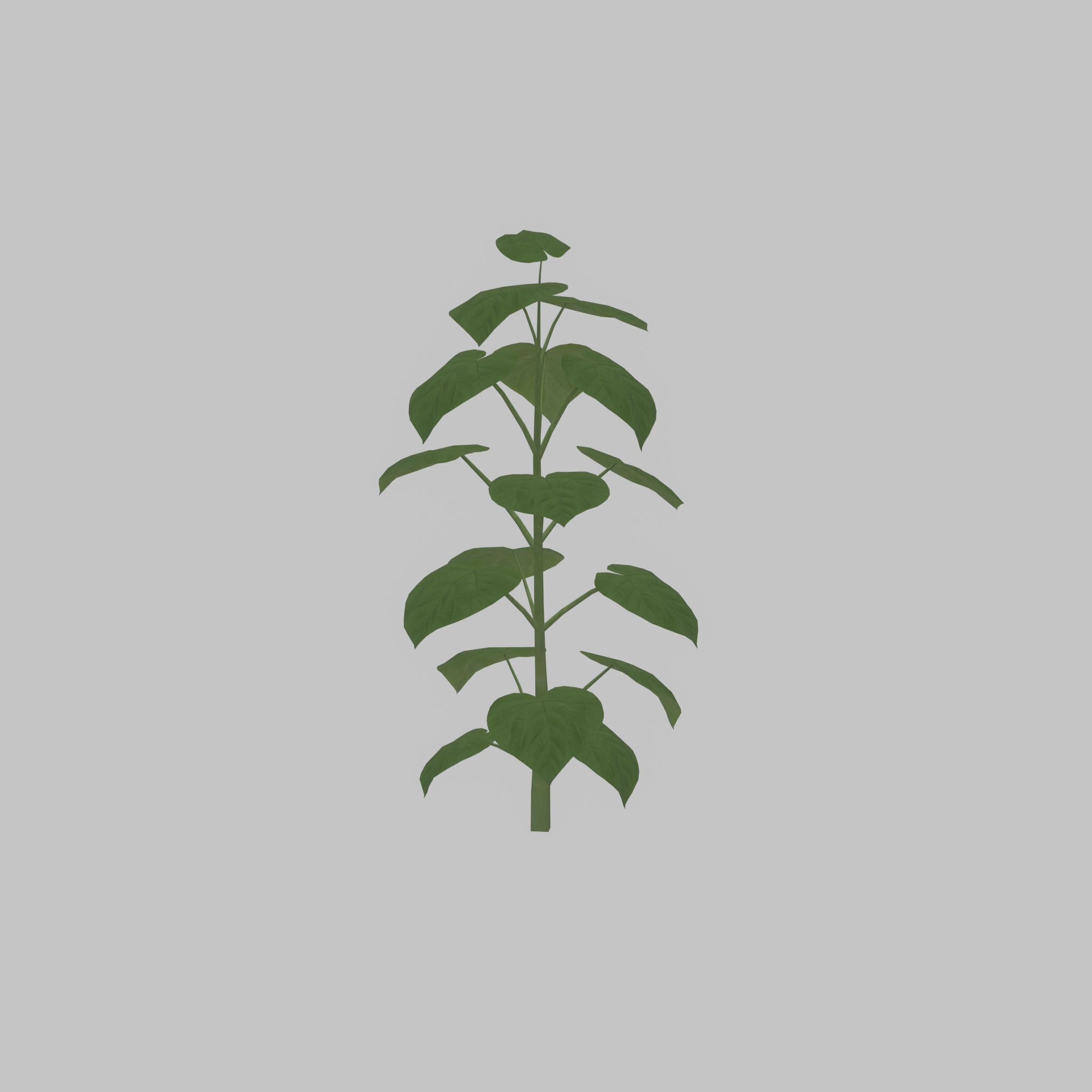 Empress tree summer LOD3 2000mm Low-poly 3D model_25