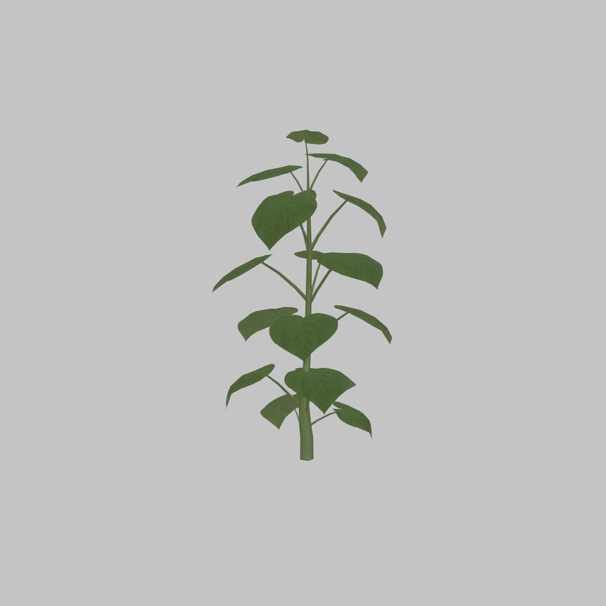 Empress tree summer LOD3 2000mm Low-poly 3D model_44