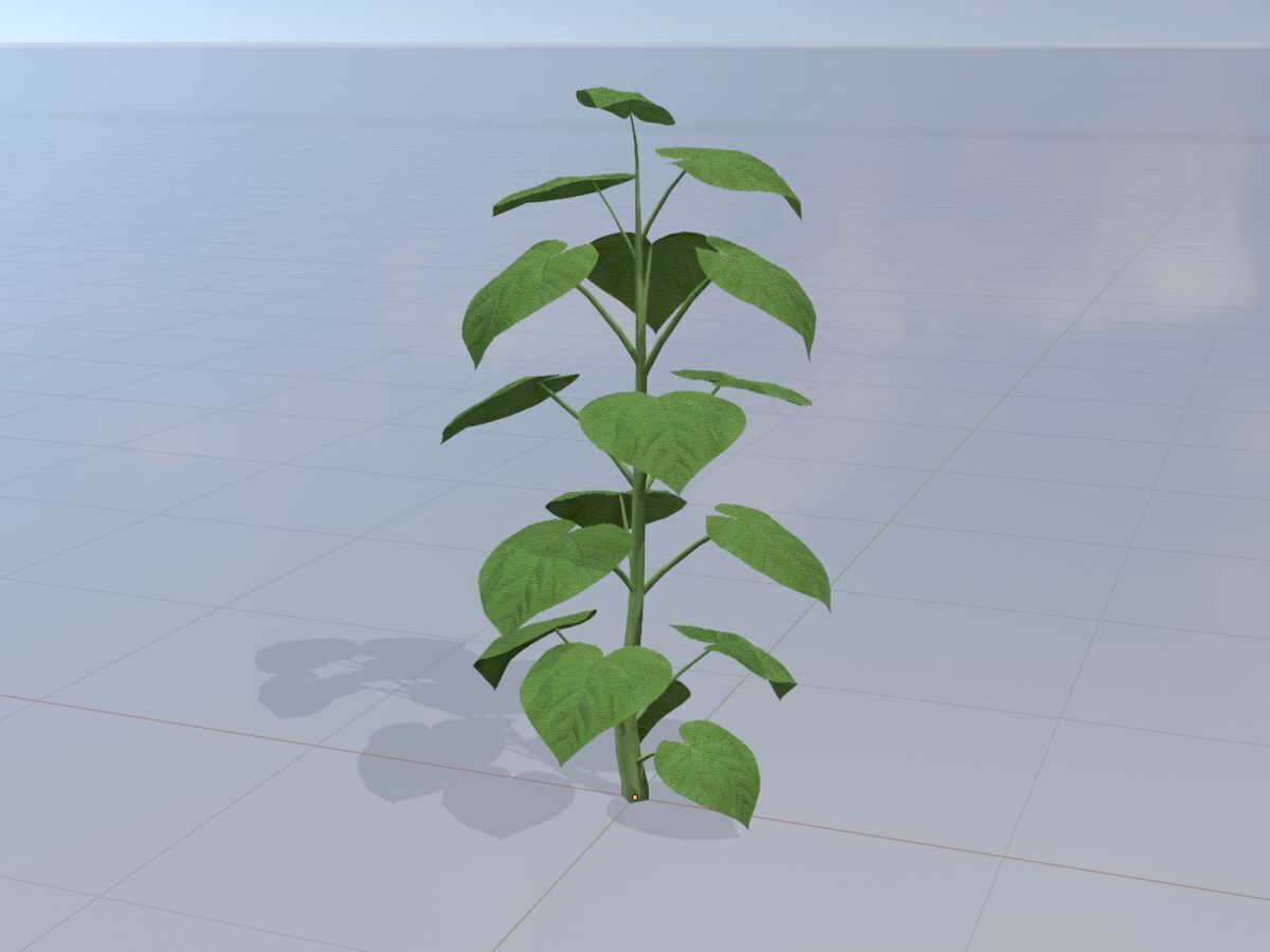 Empress tree summer LOD3 2000mm Low-poly 3D model_3