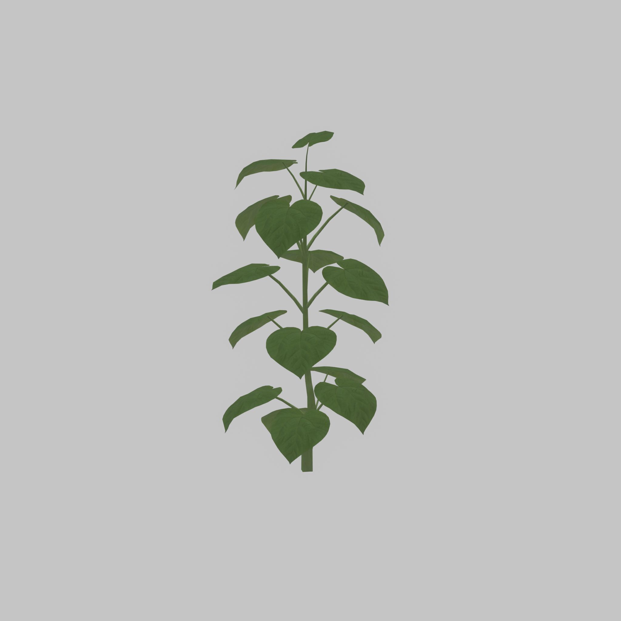 Empress tree summer LOD3 2000mm Low-poly 3D model_31