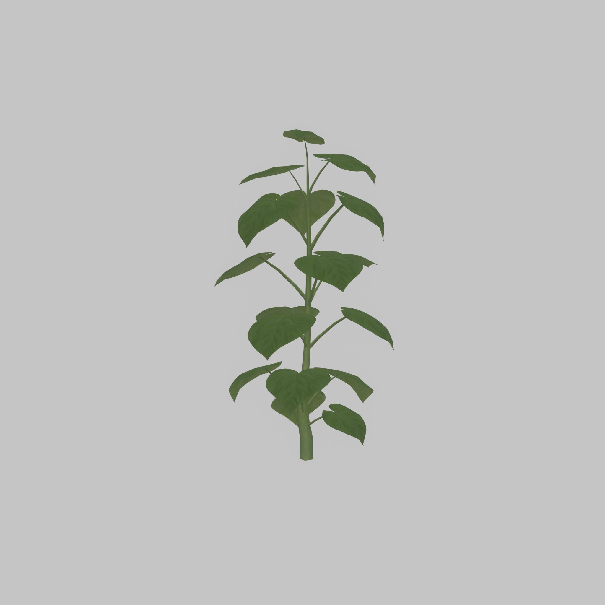 Empress tree summer LOD3 2000mm Low-poly 3D model_32