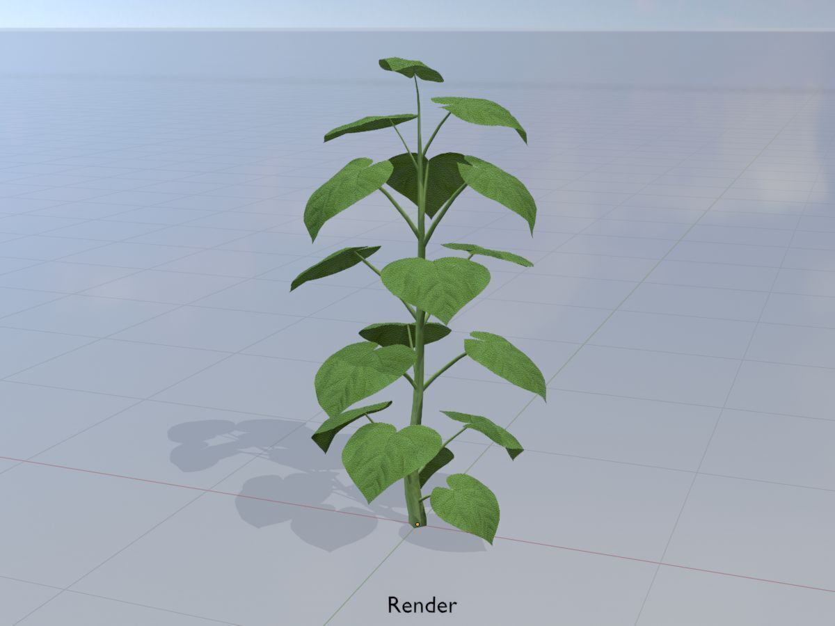 Empress tree summer LOD3 2000mm Low-poly 3D model_15