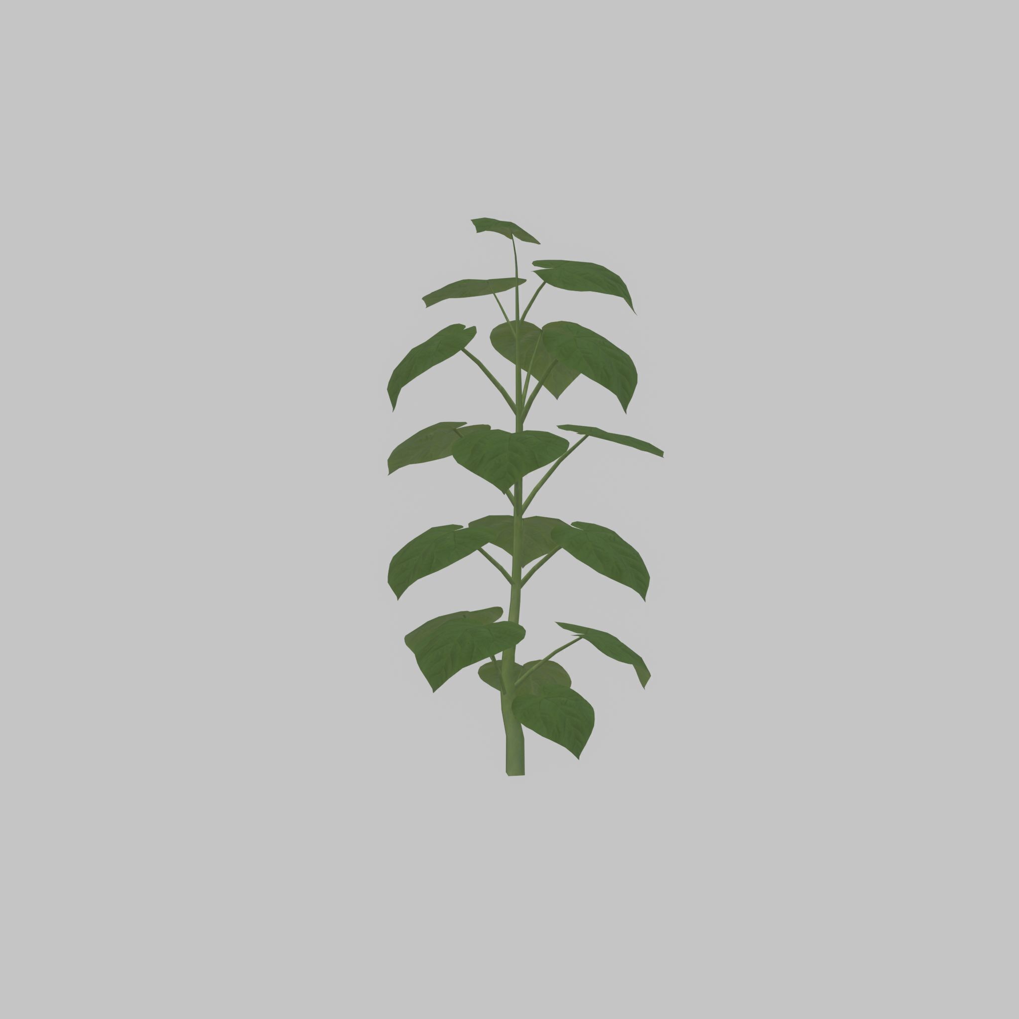 Empress tree summer LOD3 2000mm Low-poly 3D model_45