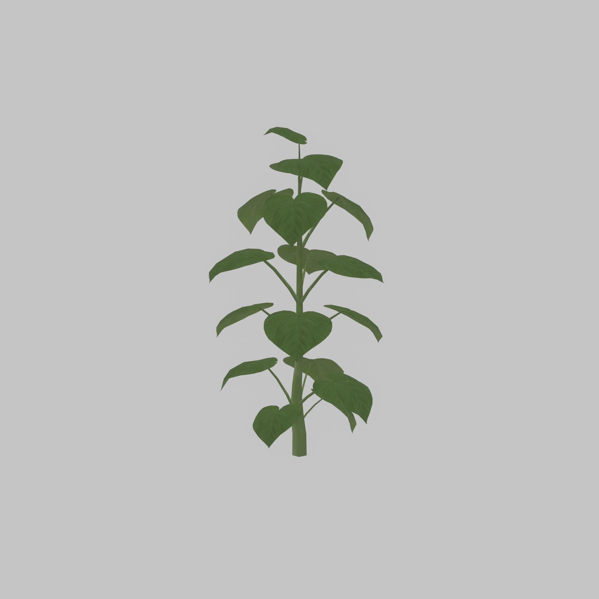 Empress tree summer LOD3 2000mm Low-poly 3D model_50