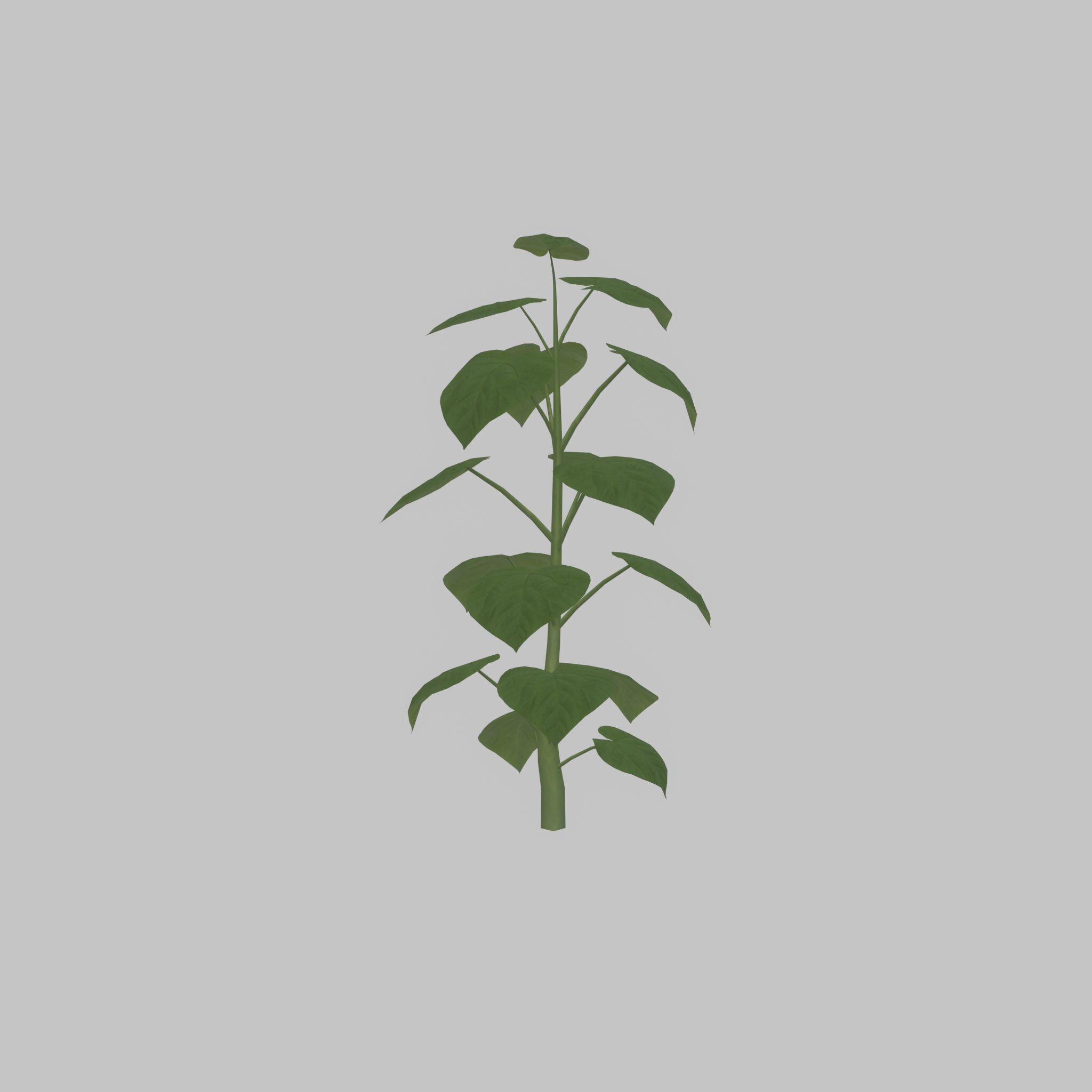 Empress tree summer LOD3 2000mm Low-poly 3D model_21