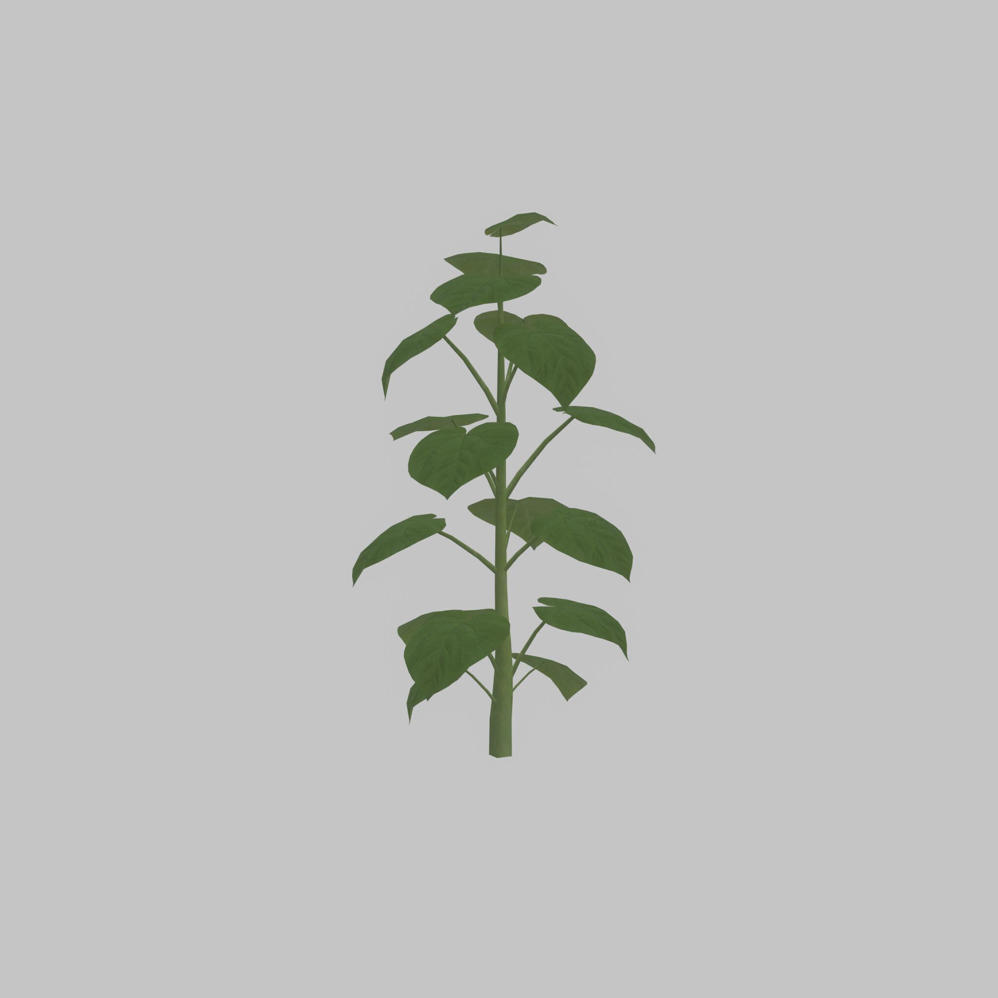Empress tree summer LOD3 2000mm Low-poly 3D model_38