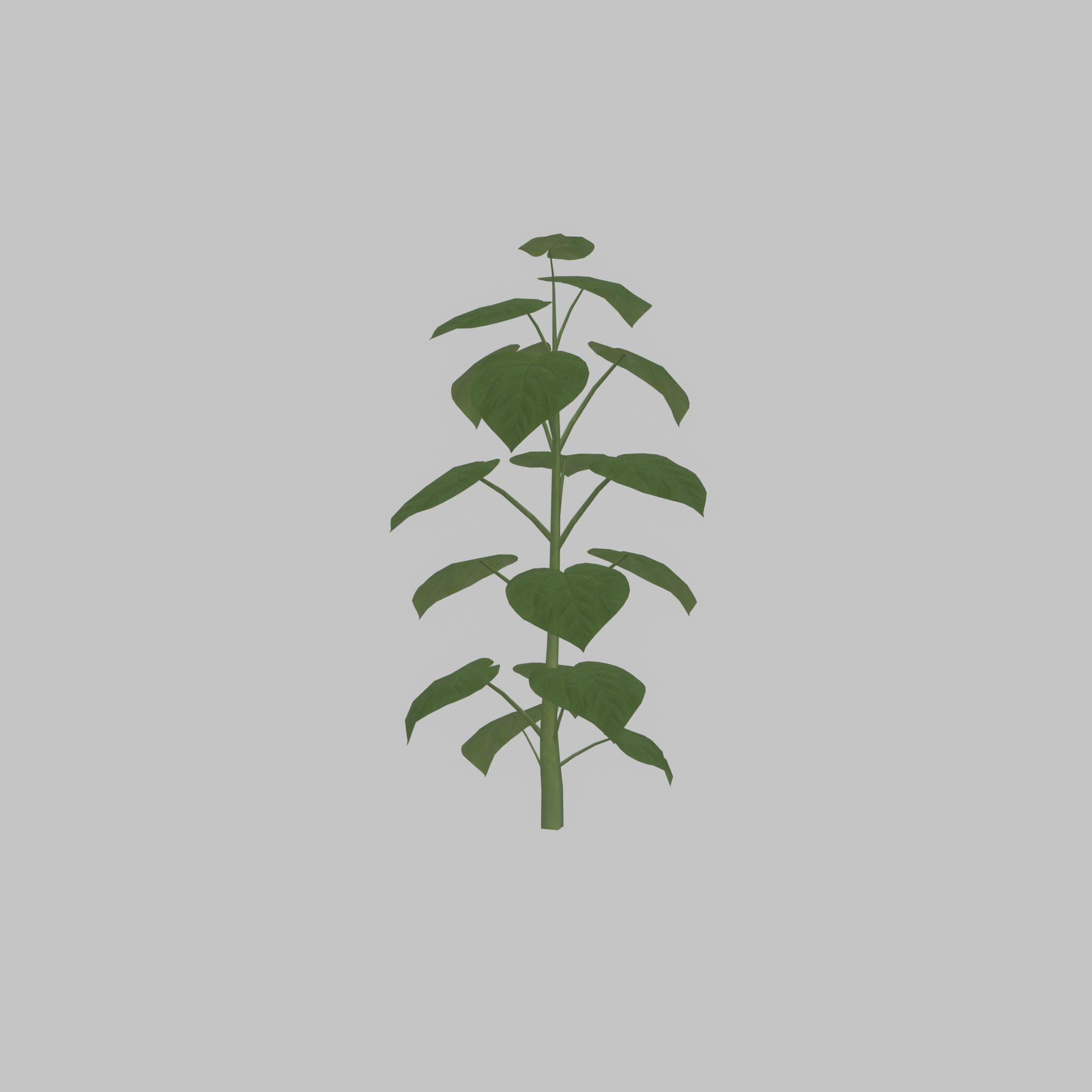 Empress tree summer LOD3 2000mm Low-poly 3D model_42