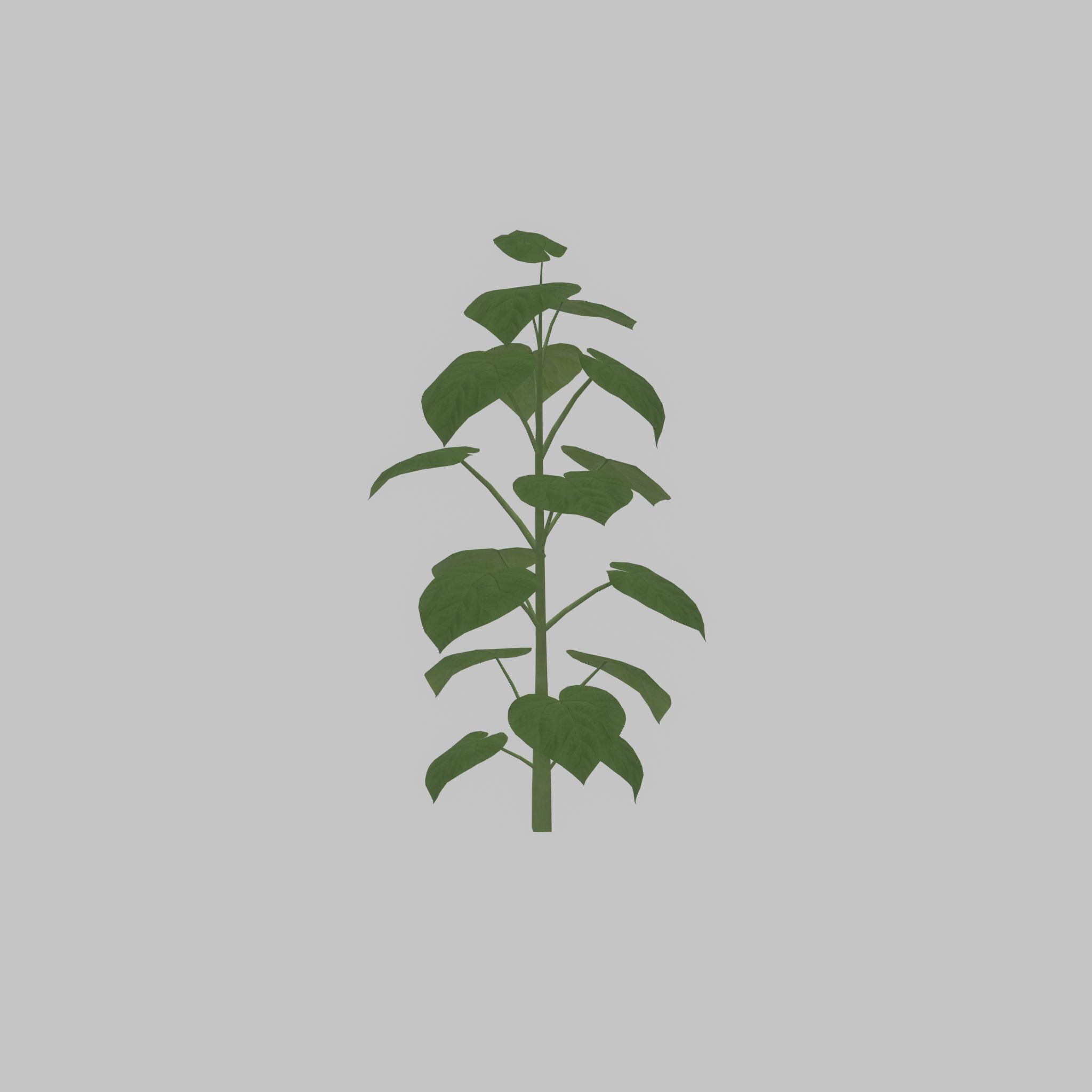 Empress tree summer LOD3 2000mm Low-poly 3D model_24