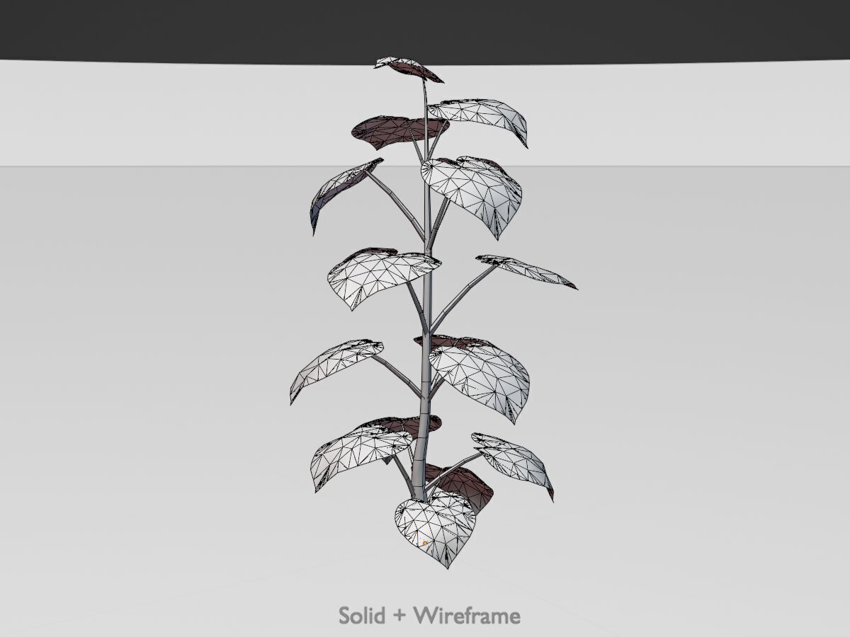 Empress tree summer LOD3 2000mm Low-poly 3D model_11