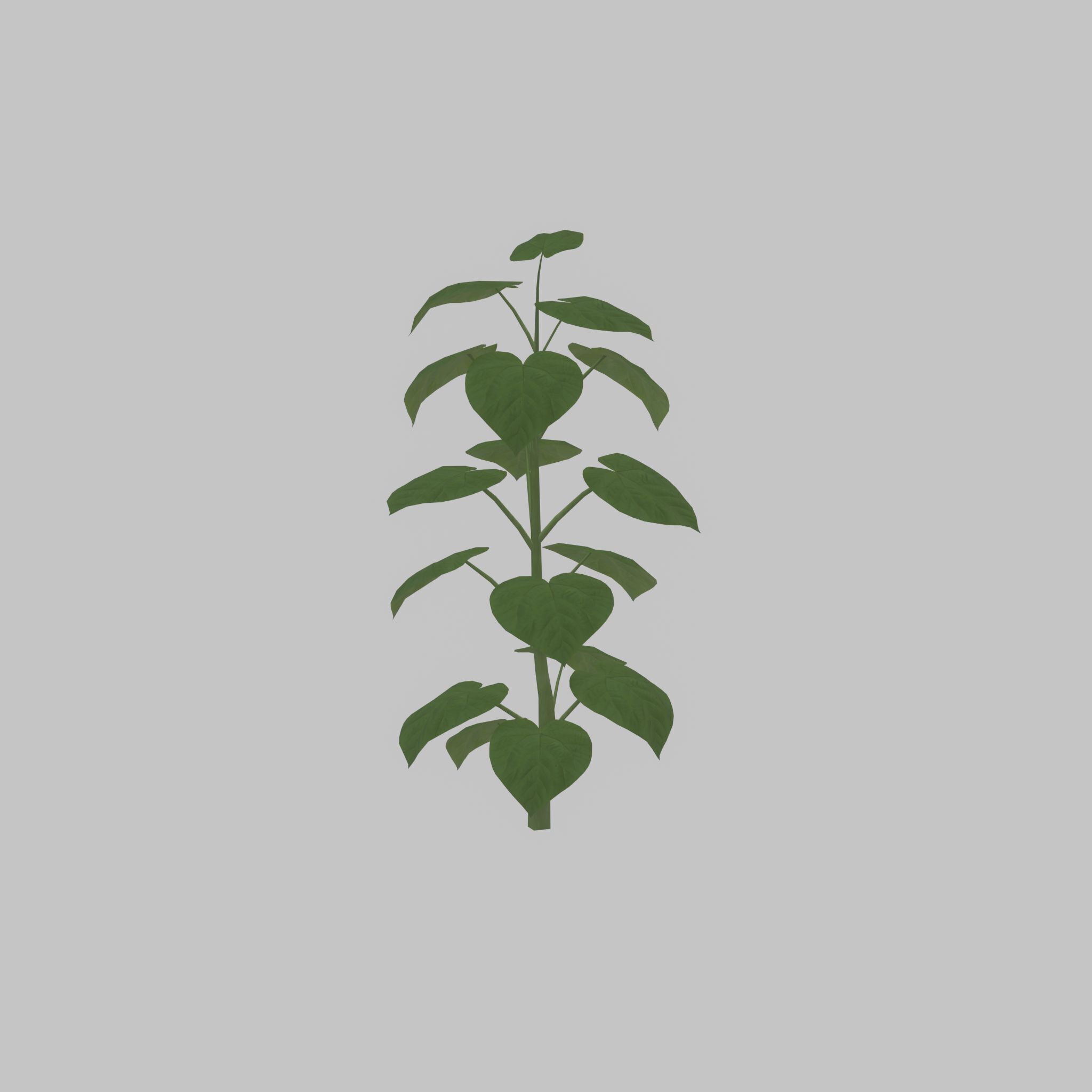 Empress tree summer LOD3 2000mm Low-poly 3D model_30