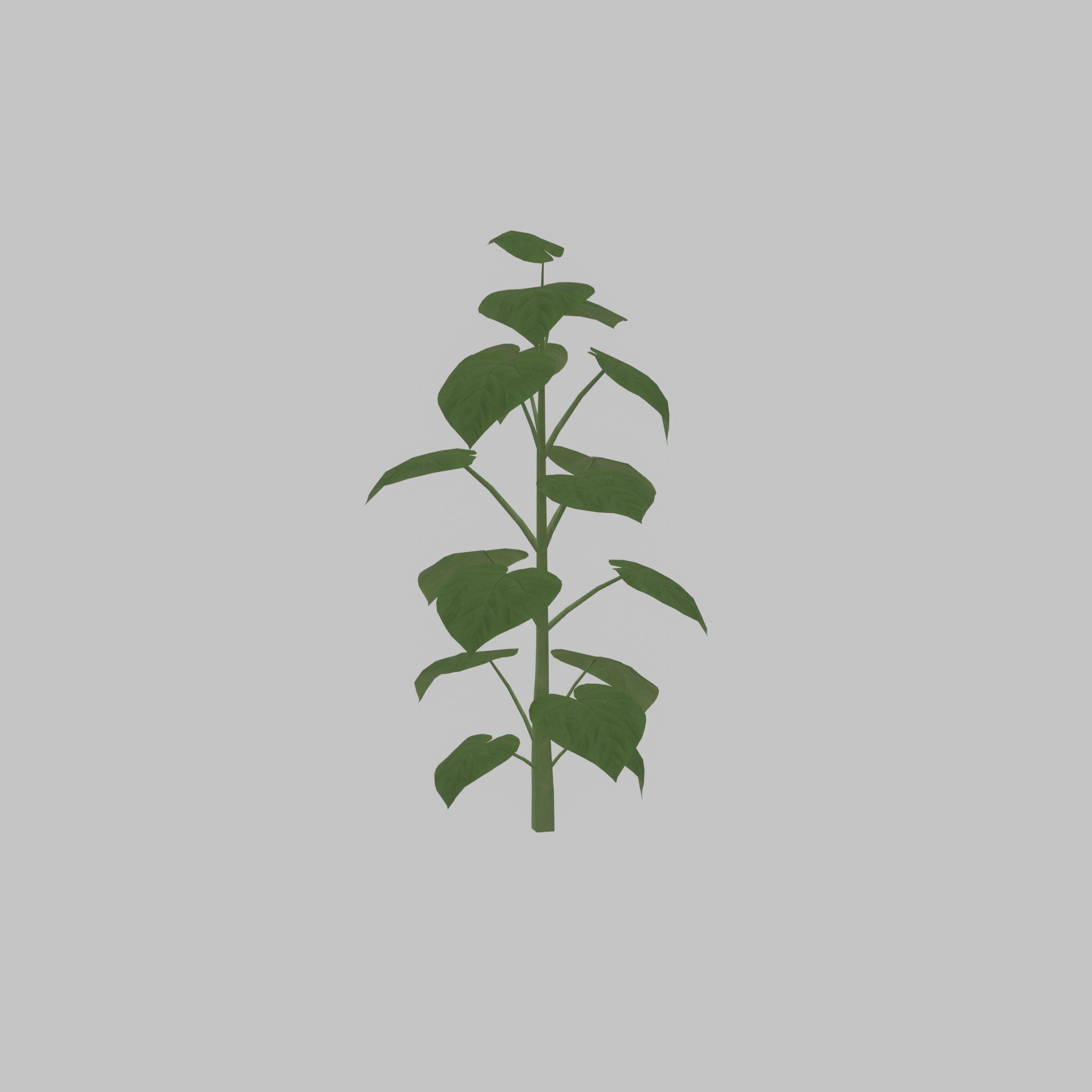 Empress tree summer LOD3 2000mm Low-poly 3D model_23