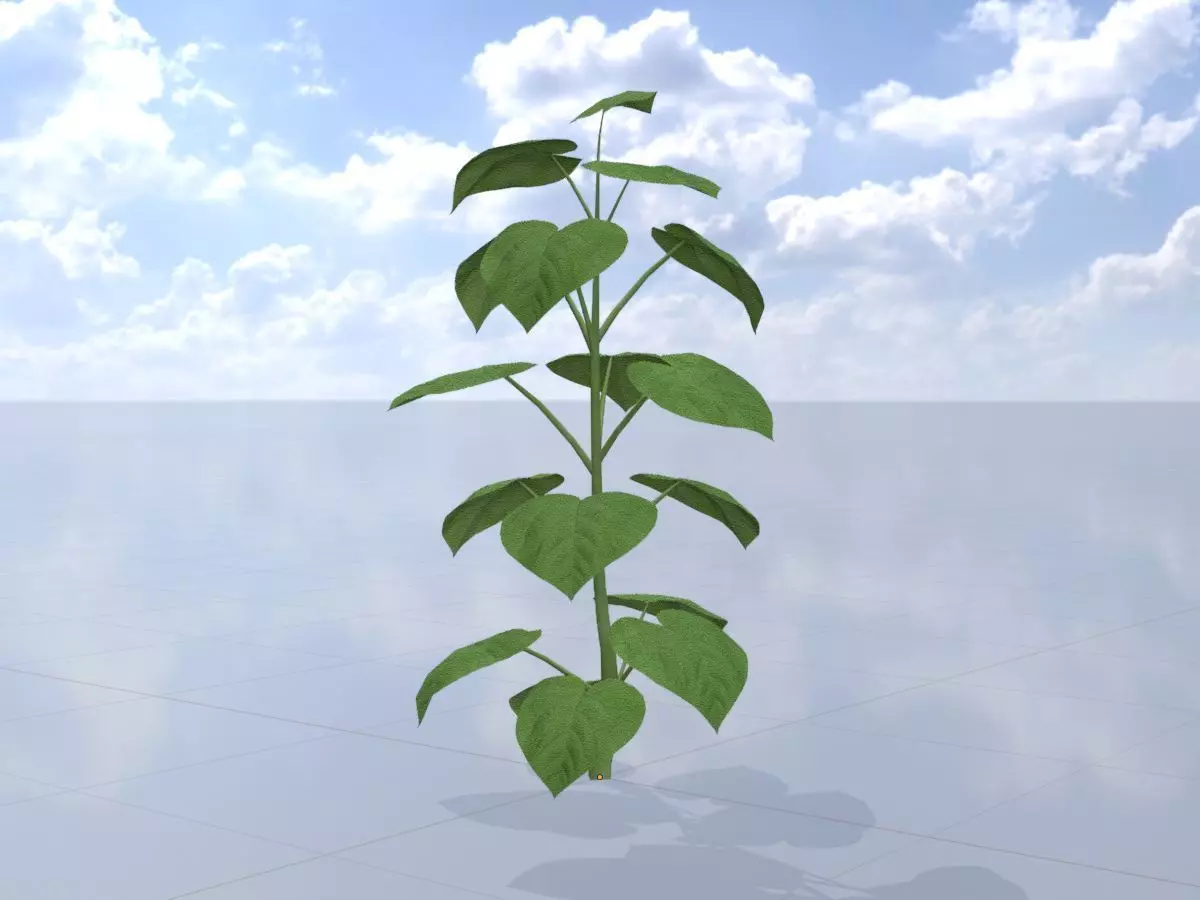 Empress tree summer LOD3 2000mm Low-poly 3D model_0