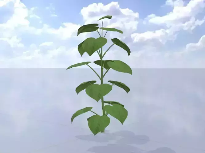 Empress tree summer LOD3 2000mm Low-poly 3D model