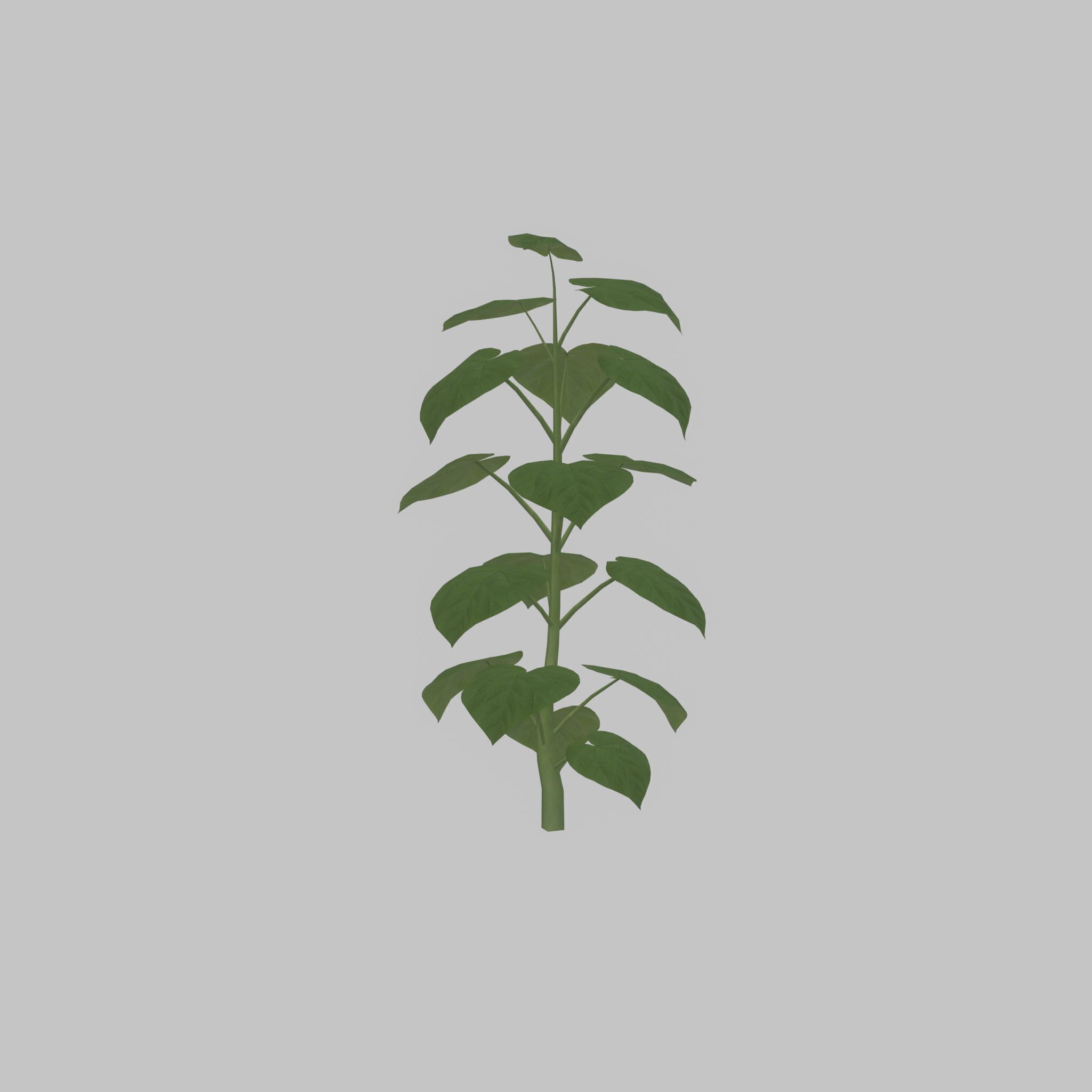 Empress tree summer LOD3 2000mm Low-poly 3D model_43