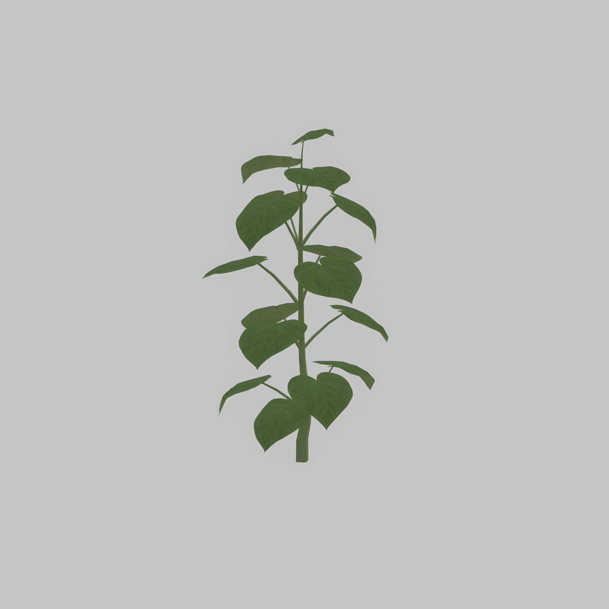 Empress tree summer LOD3 2000mm Low-poly 3D model_34