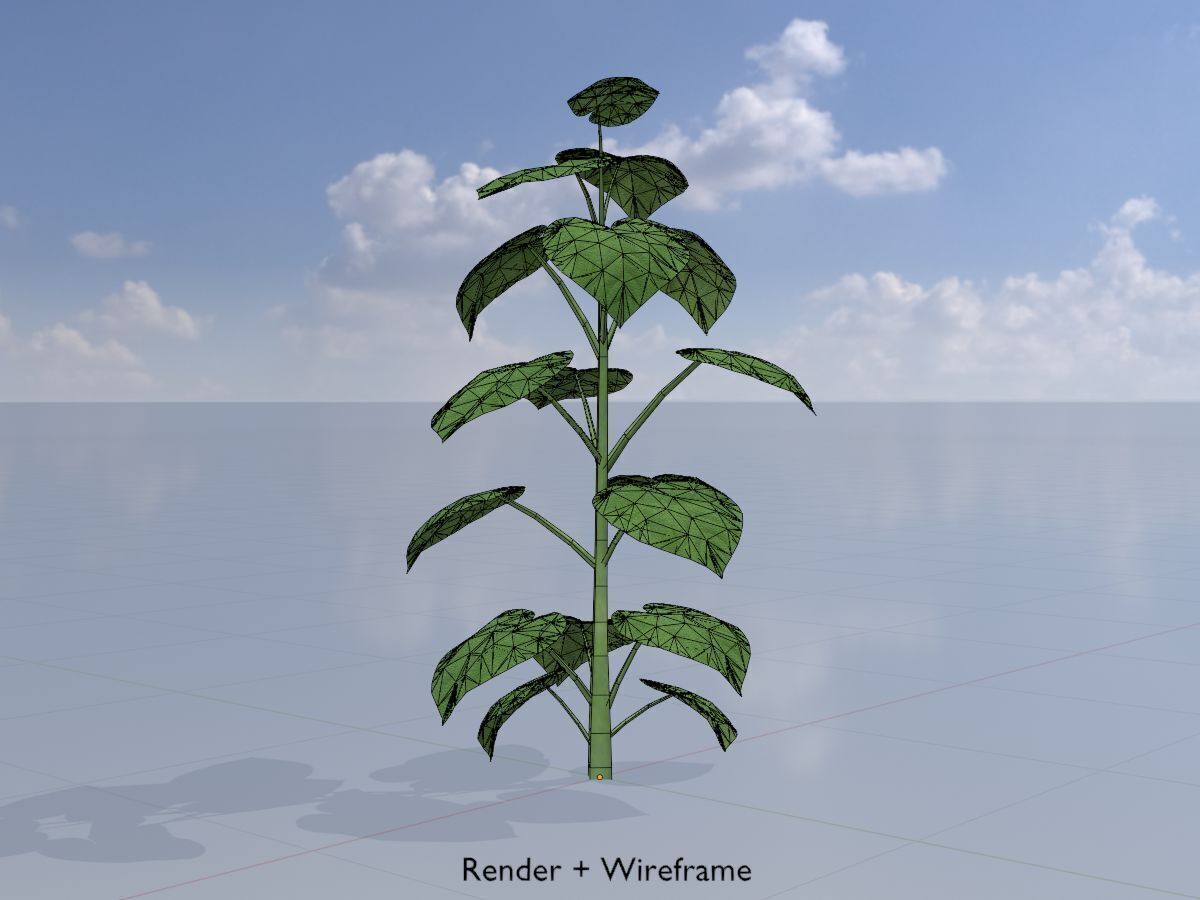 Empress tree summer LOD3 2000mm Low-poly 3D model_6