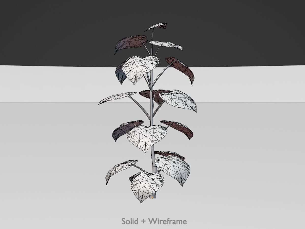 Empress tree summer LOD3 2000mm Low-poly 3D model_9