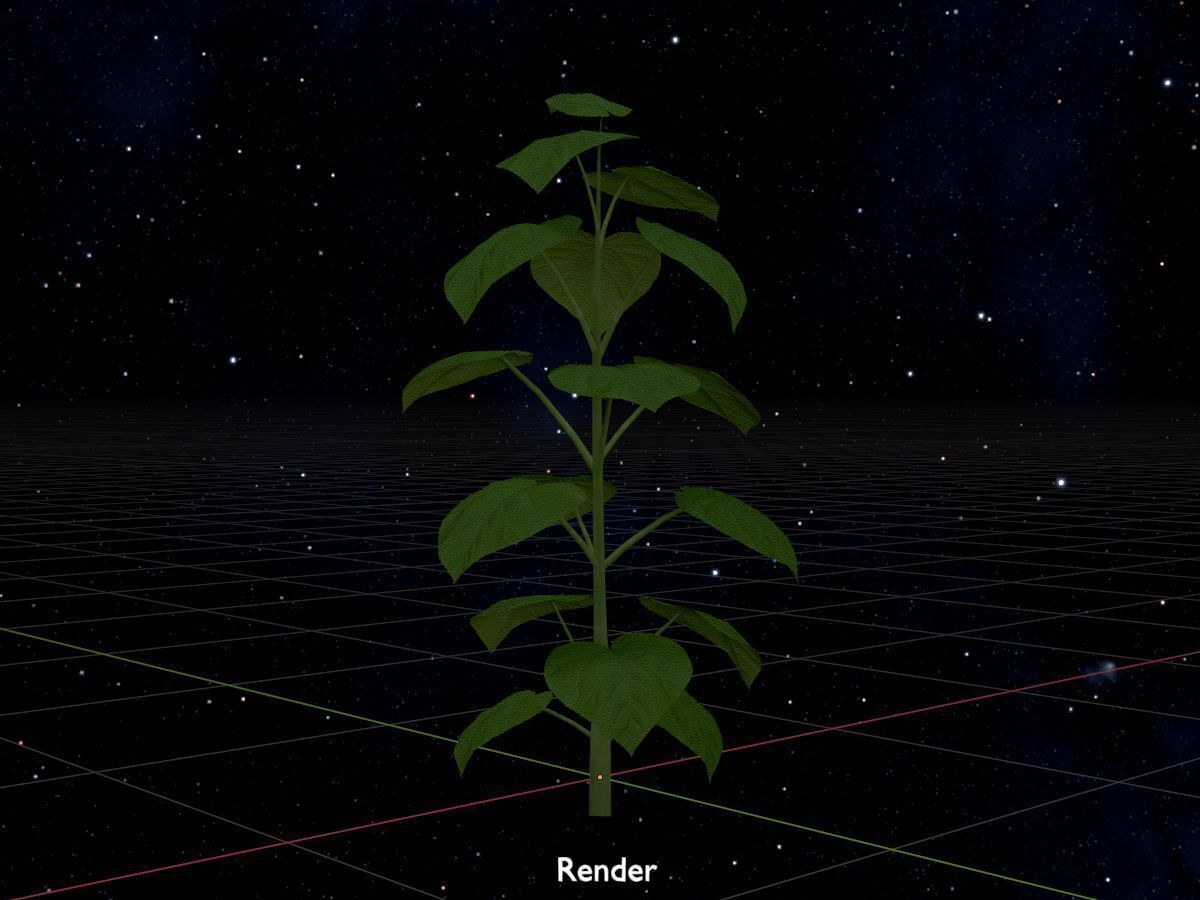 Empress tree summer LOD3 2000mm Low-poly 3D model_20