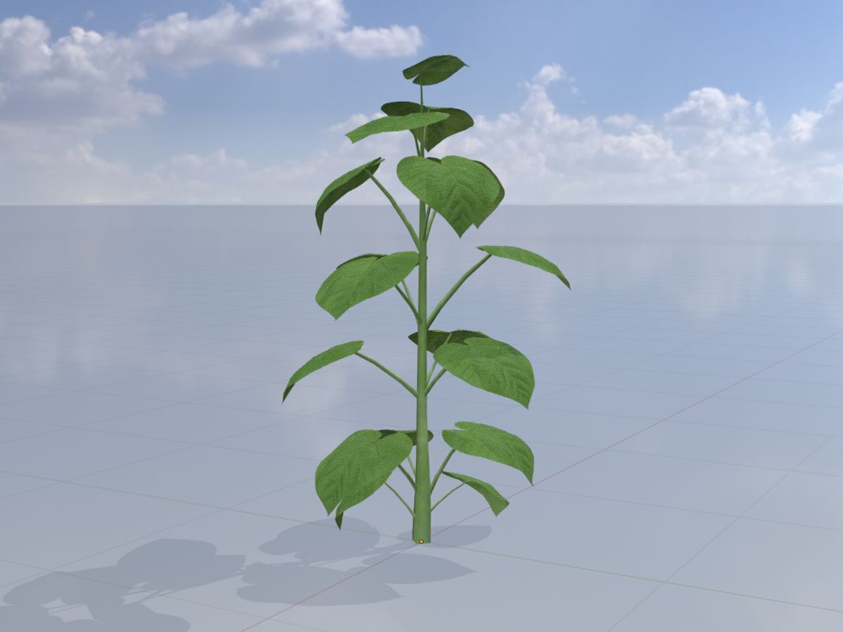 Empress tree summer LOD3 2000mm Low-poly 3D model_2