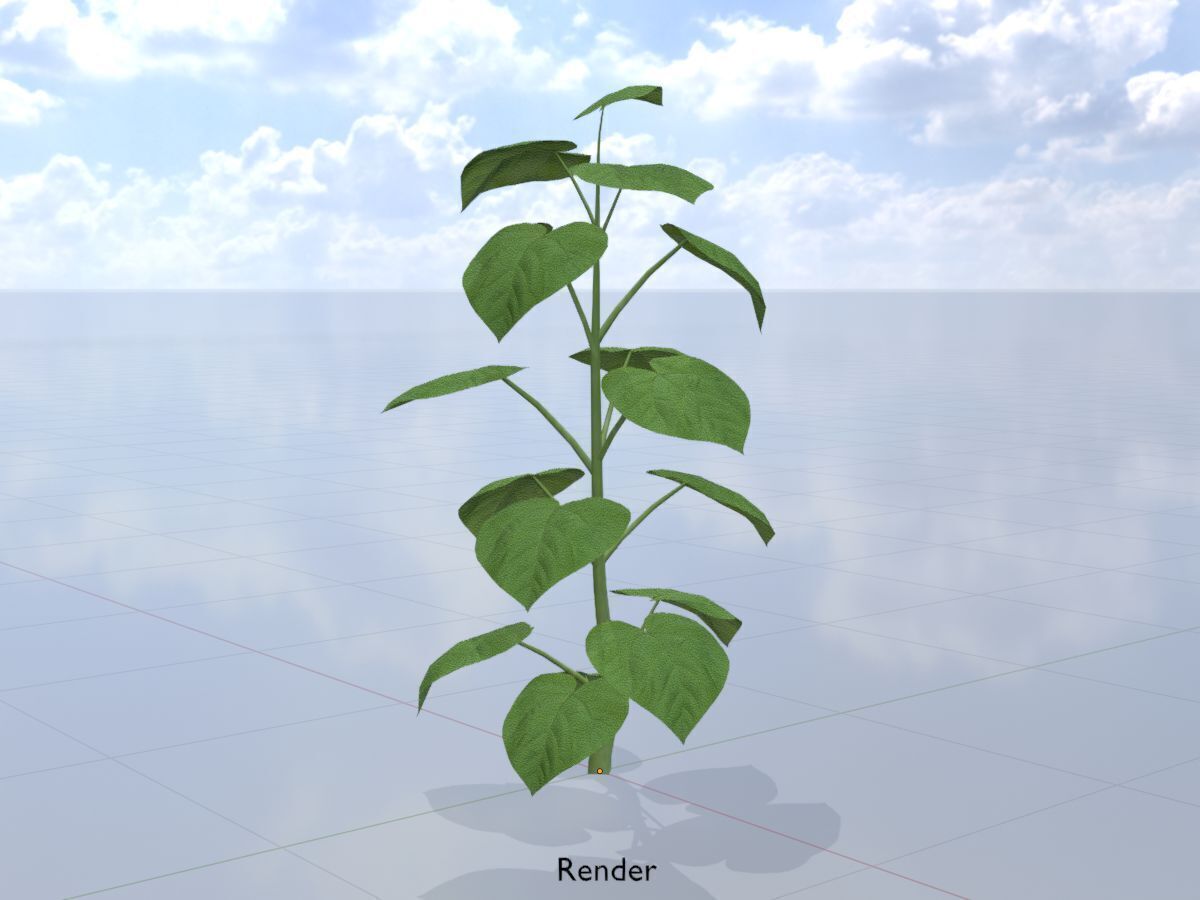 Empress tree summer LOD3 2000mm Low-poly 3D model_13