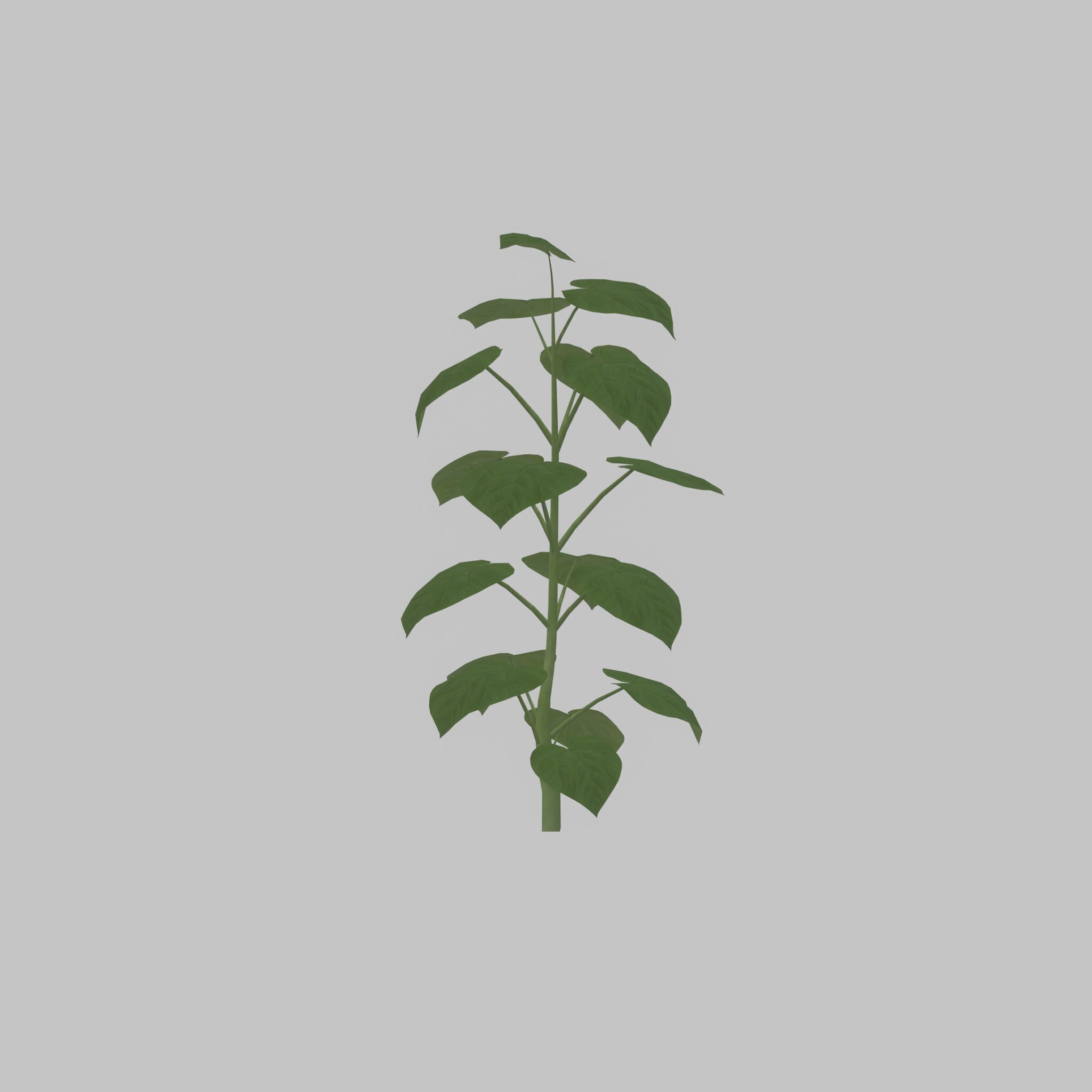 Empress tree summer LOD3 2000mm Low-poly 3D model_46