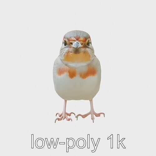 American Tree Sparrow with Rufous Cap 3D Model Low-poly 3D model