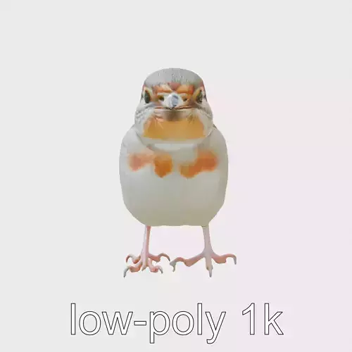 American Tree Sparrow with Rufous Cap 3D Model Low-poly 3D model