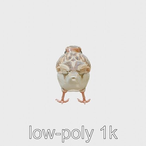 House Sparrow Model with Realistic Textured Plumage Low-poly 3D model