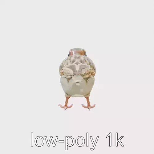 House Sparrow Model with Realistic Textured Plumage Low-poly 3D model
