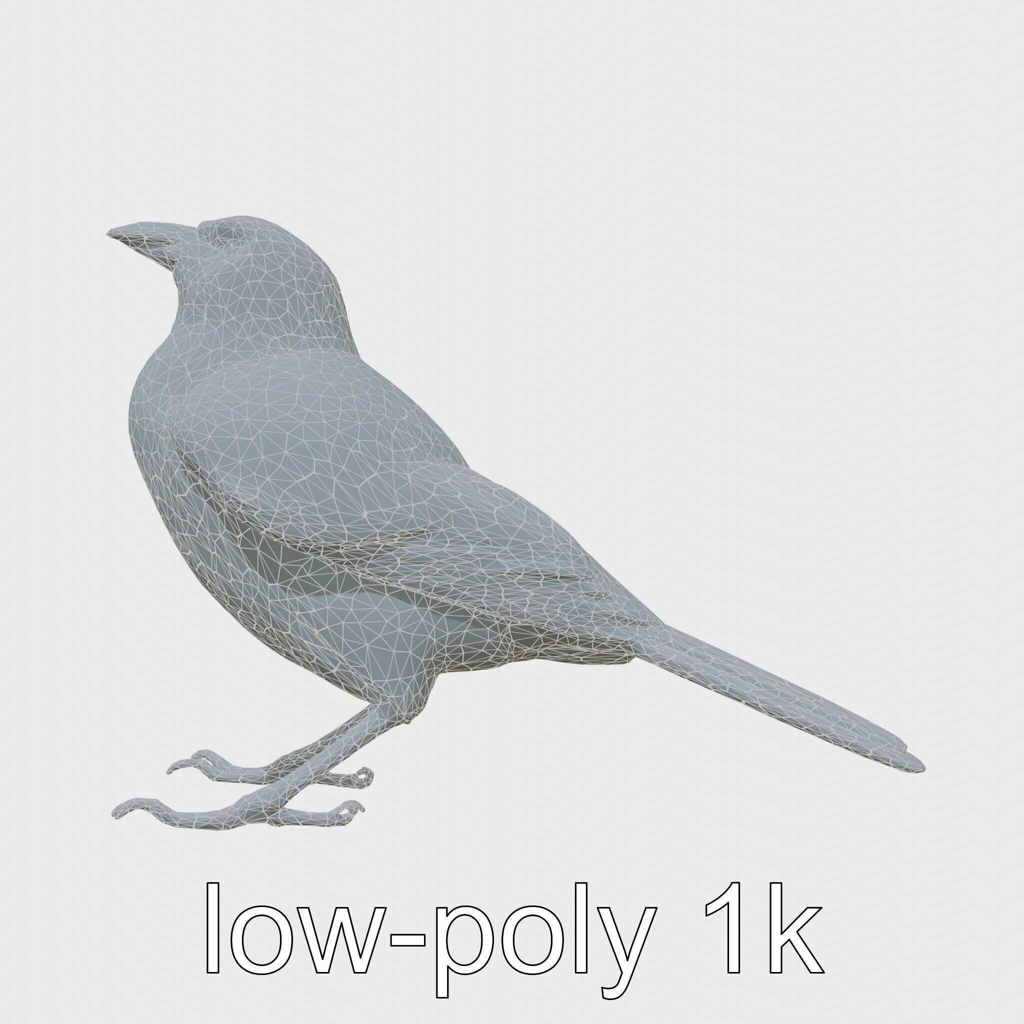 Australian Little Crow Realistic 3D Model Low-poly 3D model_25