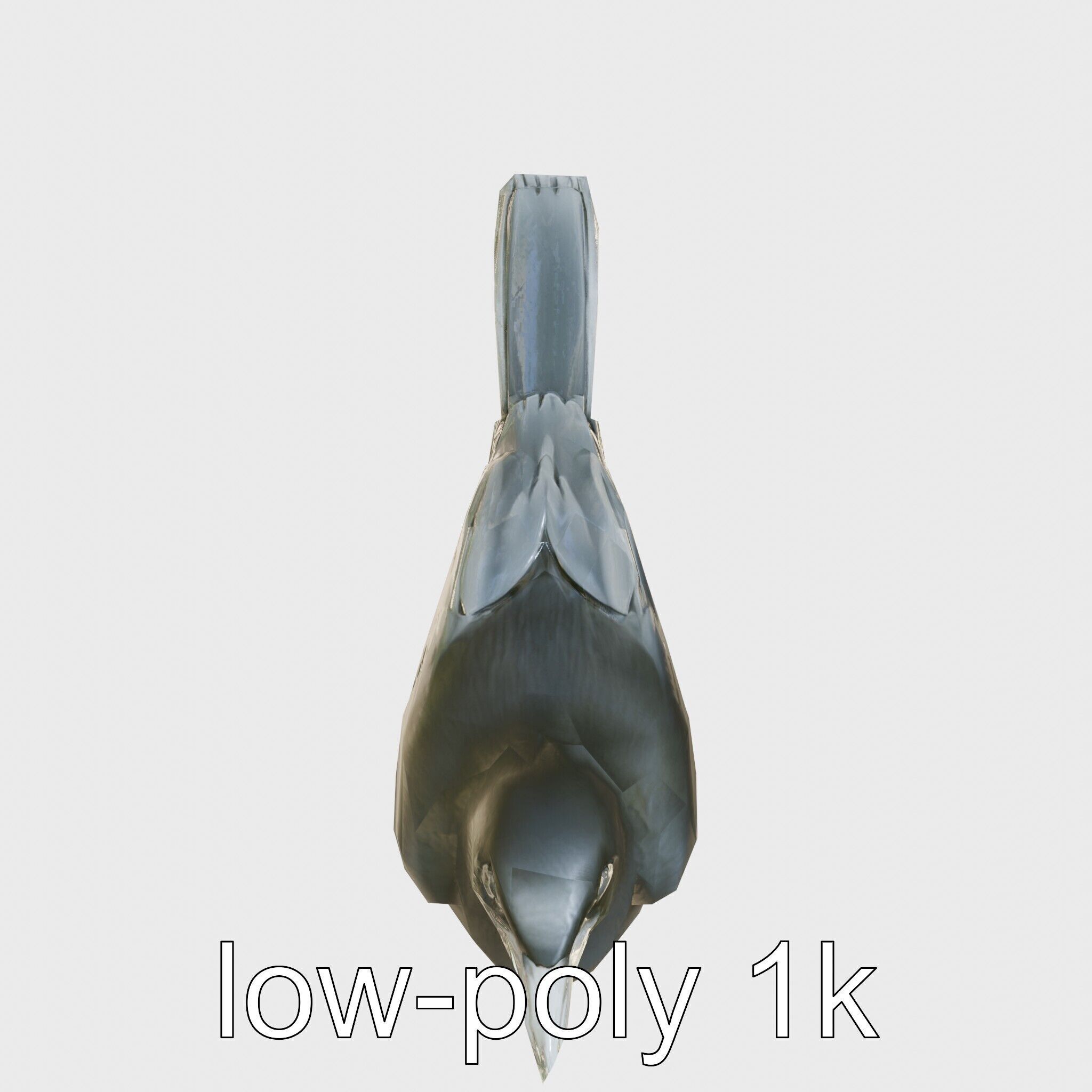 Australian Little Crow Realistic 3D Model Low-poly 3D model_26