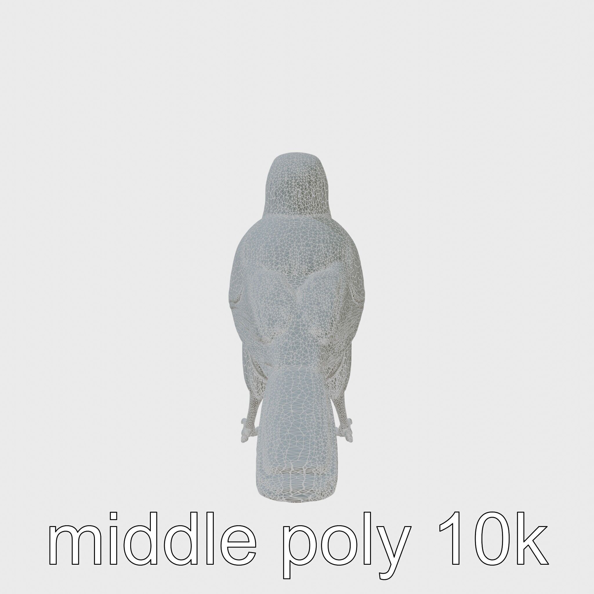 Australian Little Crow Realistic 3D Model Low-poly 3D model_5