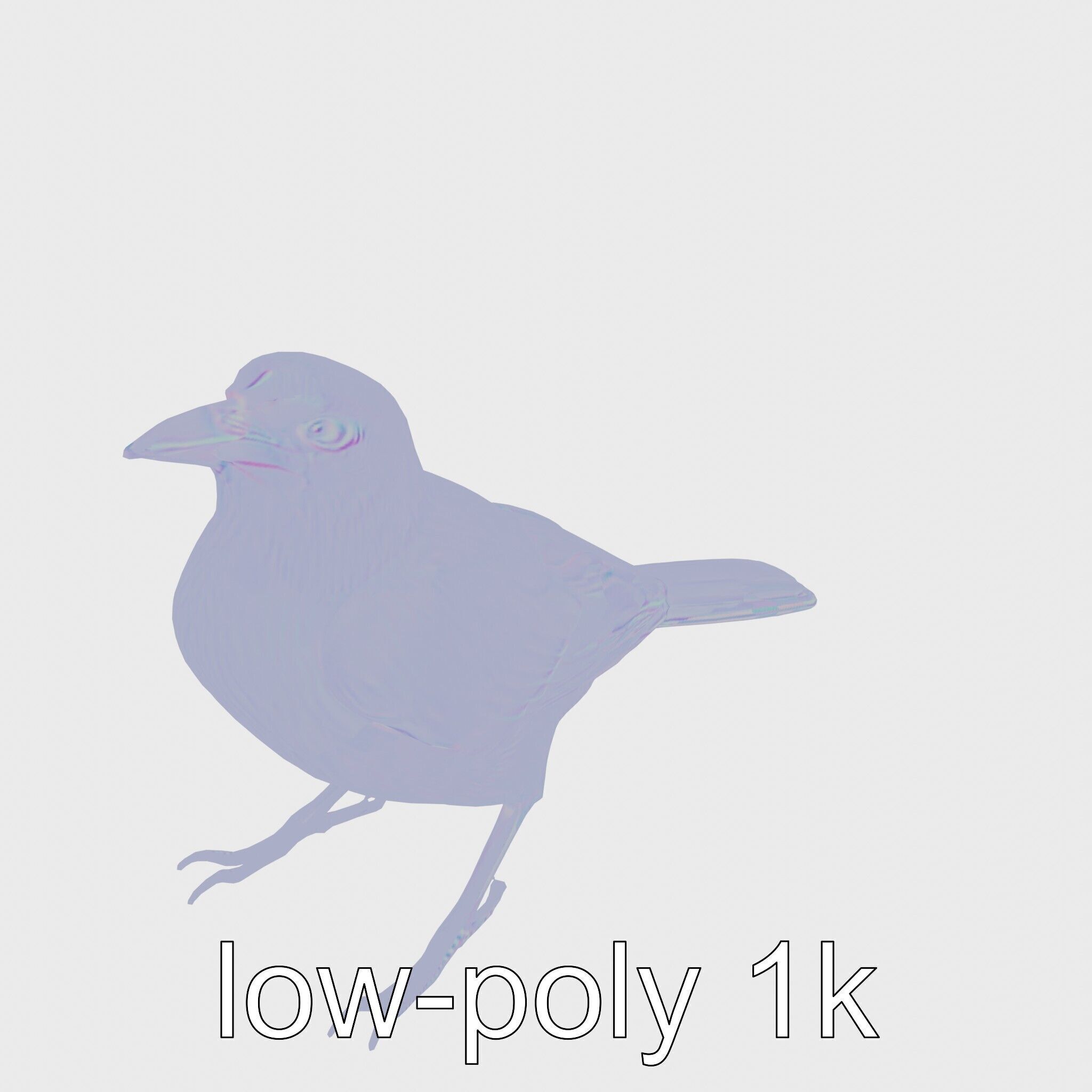 Australian Little Crow Realistic 3D Model Low-poly 3D model_13