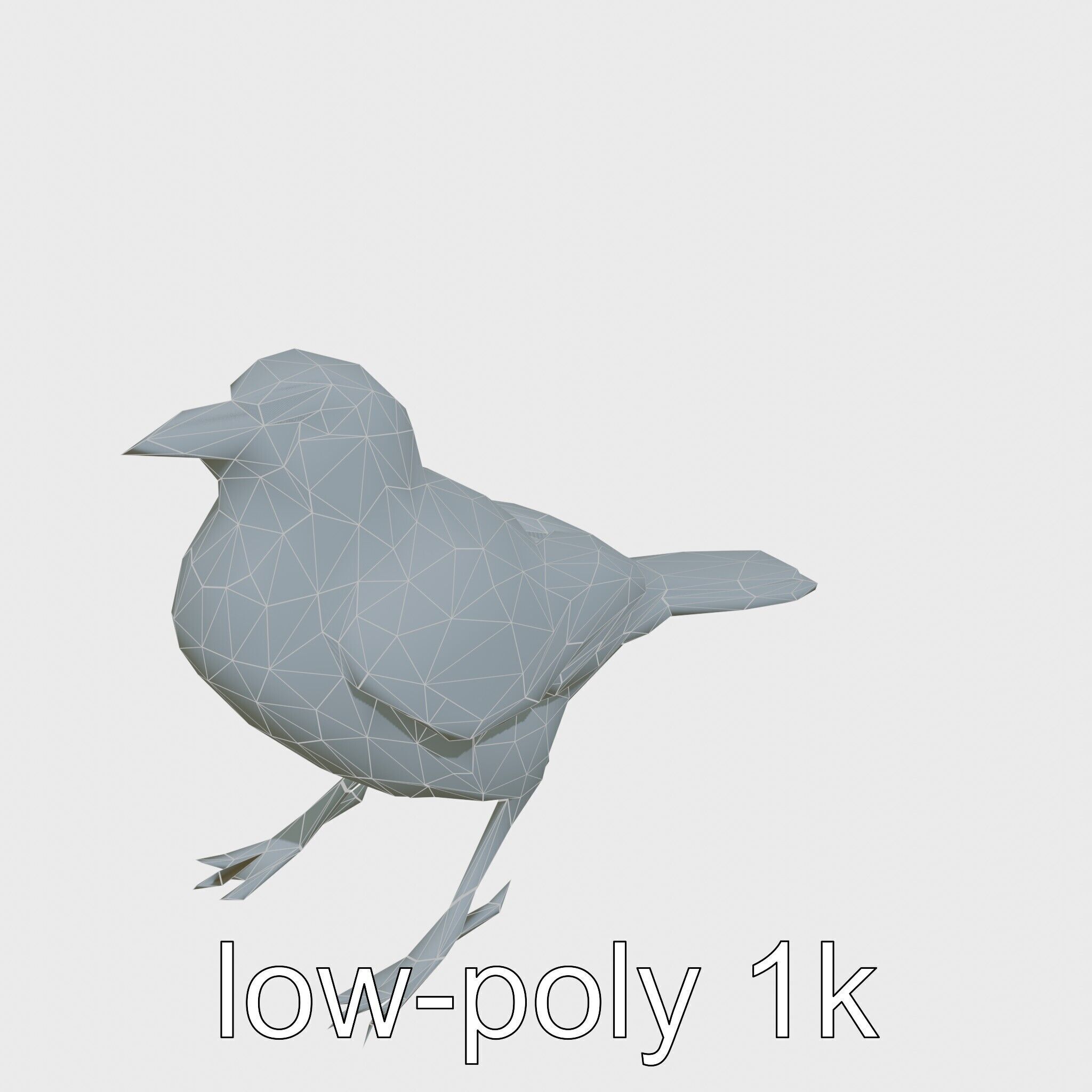 Australian Little Crow Realistic 3D Model Low-poly 3D model_21